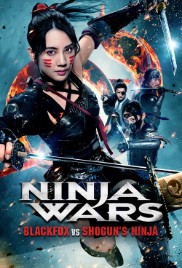 Ninja Wars: BlackFox vs Shogun