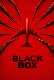 Black Box (Flight 298)